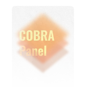 Cobra Panel iptv reseller