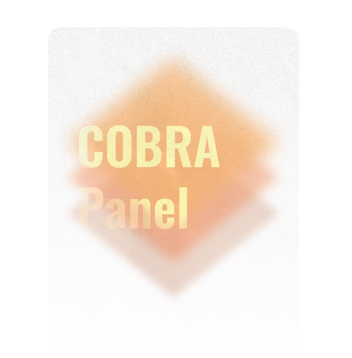 Cobra Panel iptv reseller